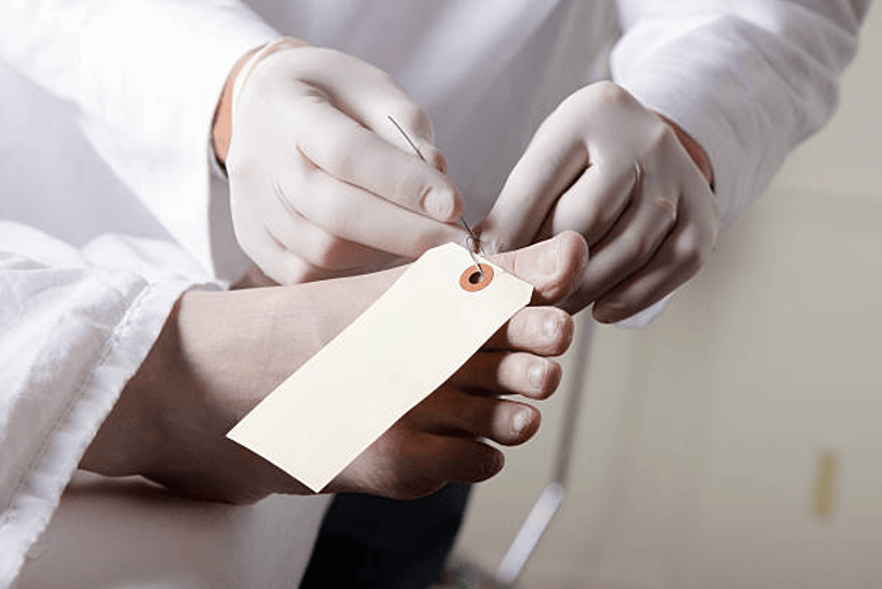 How Body Donation in the U.S. Has Transformed Medical Education — Key Statistics You Should Know