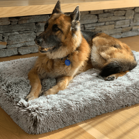 Ultra Memory Foam Dog Bed for Better Sleep and Joint Support