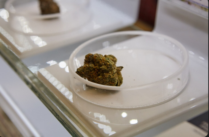 Premium Quality Control Standards Met Dispensary in Omaha