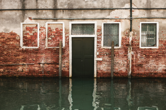 How a Water Damage Company Helps Minimize Structural Damage After Indoor Flooding